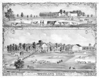 Woodland Home, Asbury F. Johnson, Peoria County 1873
